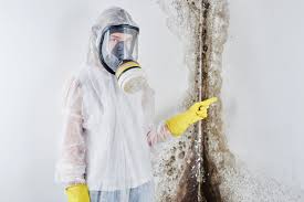 Mold Odor Removal Services in Marshallton, PA